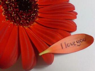 New Best I Love You Wallpaper Collection For Your