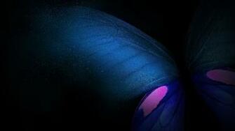 Wallpaper Samsung Galaxy Fold Colorful HD Os