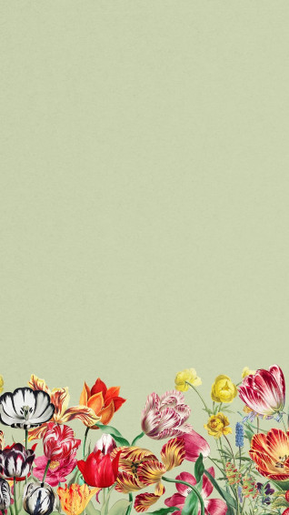 Tulips iPhone Wallpaper Image