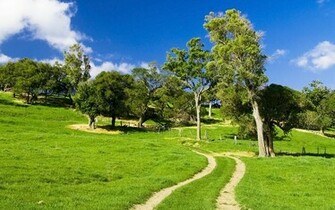 The Road Home Desktop Pc And Mac Wallpaper