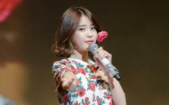 Iu Computer Wallpaper Desktop Background Id
