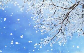 Wallpaper Nature Snow