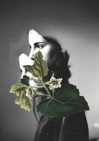 Rocio Montoya Photography Collage Artists