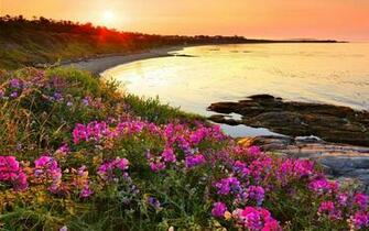 Beacon Hill Park At Dusk Wallpaper
