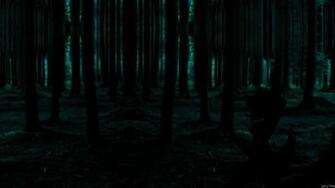 Forest HD Wallpaper Background Dark