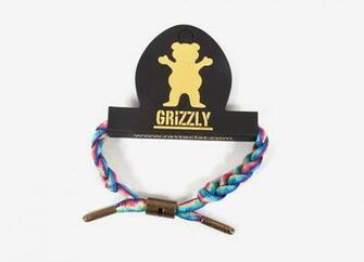 Grizzly Grip Bear Wallpaper