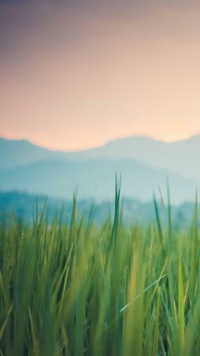 Lg G3 Background HD Windows Wallpaper