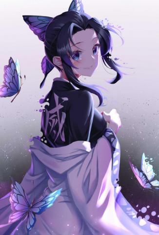 Shinobu Wallpaper On