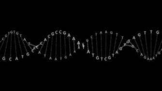 Dna Strand Wallpaper 3d Ing