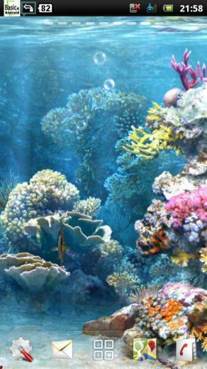 Netunderwater Coral Reef Live Wallpaper For Android