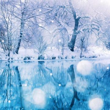 Nature Winter Snowy Tree iPad Air Wallpaper