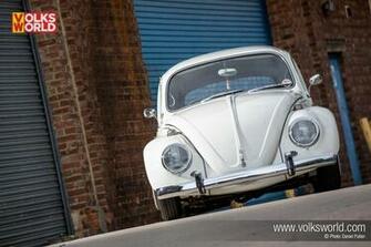 Volkswagen Beetle Wallpaper Volksworld
