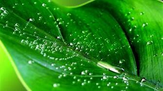 Rotate Desktop Wallpaper Vista High Definition