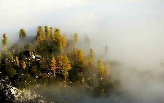 Misty Mountain Morning Wallpaper