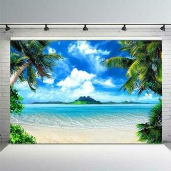 Amazon Comophoto Summer Beach Backdrops For Photography