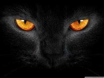 Black Cat Wallpaper