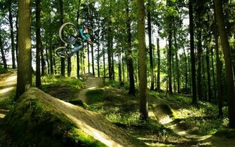 Nature Trees Forest Sunlight Shade Hills People Wallpaper Background