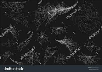 Collection Of Cobweb Isolated On Black Transparent Background