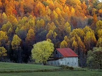 Autumn Fall Foliage Jpg