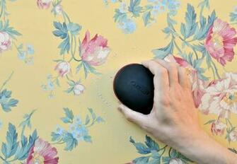 Remove Wallpaper With Hyde Scoring Tool