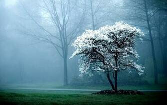 Amazing Photos Of Nature