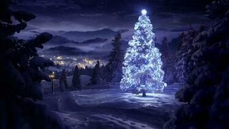 White Christmas Tree In The Nature HD Snowy Wallpaper Beautiful