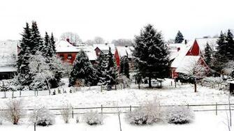Winter At Home Id Buzzerg