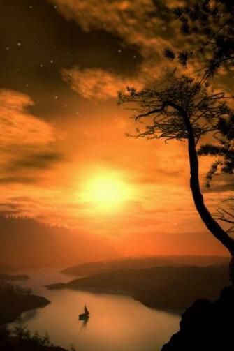 Pictures Sunset Wallpaper Photo Image Picture Palm Trees Sea