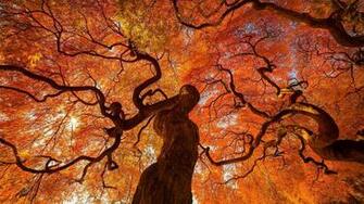 Huge Wallpaper Dump Windows Lock Screen Image Cool Pics