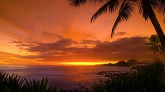 Tropical Island Sunset Hq Wallpaper