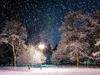 Snowy Winter Night Scenes Wallpaper On
