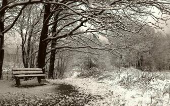 Category Nature HD Wallpaper Subcategory Seasons