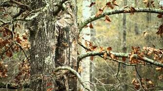 Realtree iPhone Wallpaper Max