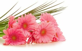 Bouquet Flowers Wallpaper HD Topwallpaper