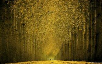 HD Wallpaper Wide Photography
