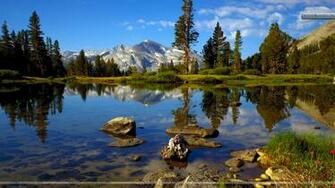 Country Near Tioga Pass Yosemite National Park California Wallpaper