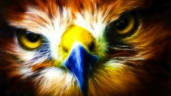Animal Eagle Wallpaper