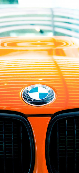 Bmw Motorsport Logo Wallpaper 4k
