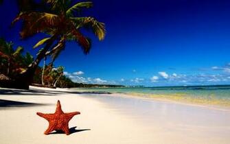 Awesome Summertime Pictures Wallpaper