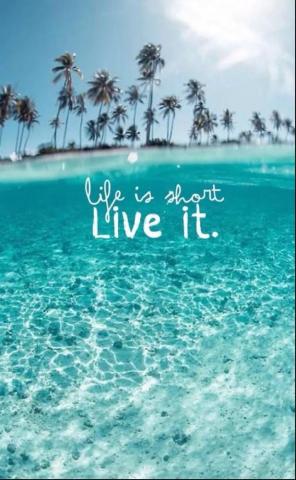 Cute Summer Wallpaper For iPhone Honestlybecca In