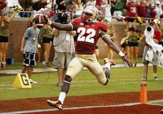 Forida State Seminoles College Football Wallpaper