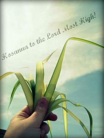 Palm Sunday Wallpaper