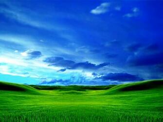 Green Meadow Landscape Photos Of Beautiful Grass Wallpaper