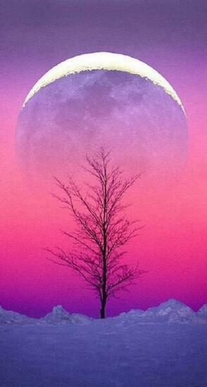 Aesthetic Wallpaper