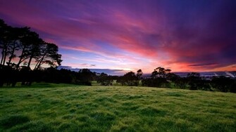 Nature High Definition Wallpaper HD 1080p