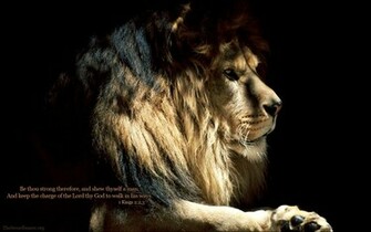 Wallpaper Lion Of The Tribe Judah
