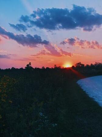 Sunset Over Meadow Full Of Beautiful Flowers With Image