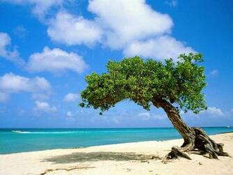 Beautifu High Resolution Beach Wallpaper For Your Desktop Enjoy