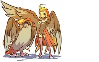 Pokemon Pidgeot Simple Background Pidgeotto Hitec Anime