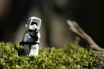 Endor Wallpaper Patrolling The Forest